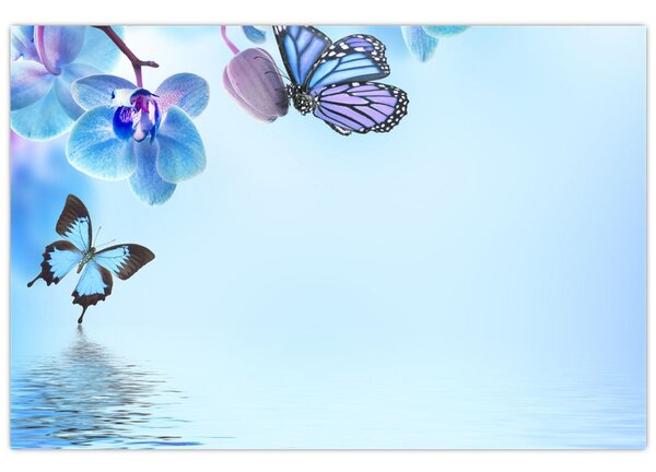 Obraz - Motýľ na kvetoch orchidey, modrý (90x60 cm)