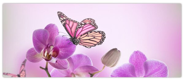 Obraz - Motýľ na kvetoch orchidey, lila (120x50 cm)