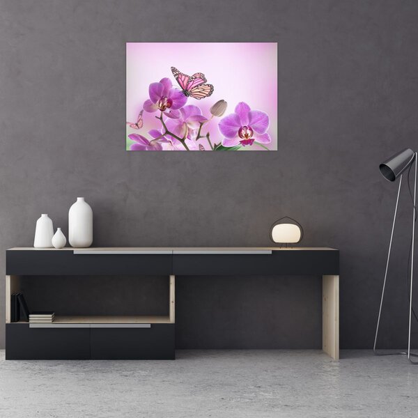 Obraz - Motýľ na kvetoch orchidey, lila (70x50 cm)