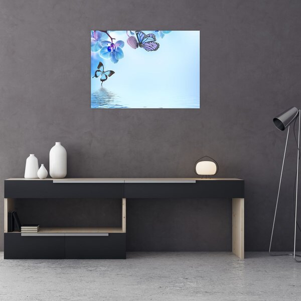 Obraz - Motýľ na kvetoch orchidey, modrý (70x50 cm)