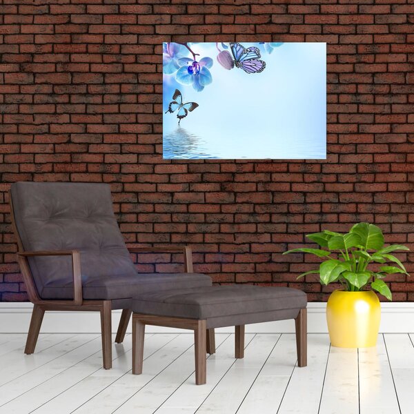 Obraz - Motýľ na kvetoch orchidey, modrý (70x50 cm)