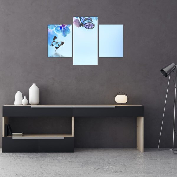 Obraz - Motýľ na kvetoch orchidey, modrý (90x60 cm)