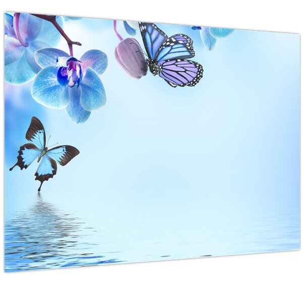 Obraz - Motýľ na kvetoch orchidey, modrý (70x50 cm)