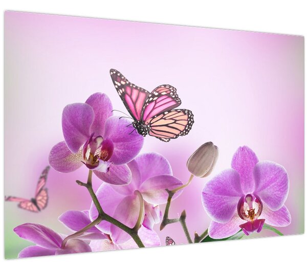 Obraz - Motýľ na kvetoch orchidey, lila (90x60 cm)