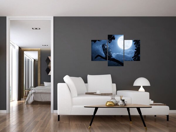 Obraz - Nočná sova (90x60 cm)