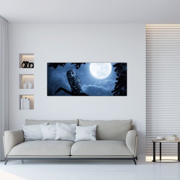 Obraz - Nočná sova (120x50 cm)