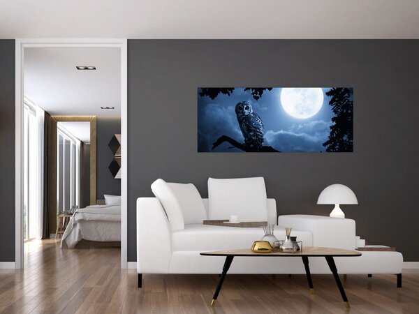 Obraz - Nočná sova (120x50 cm)