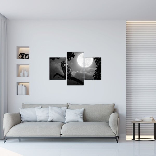 Obraz - Nočná sova, čiernobiela (90x60 cm)
