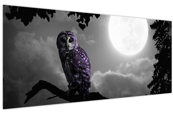 Obraz - Nočná sova, fialová sova (120x50 cm)