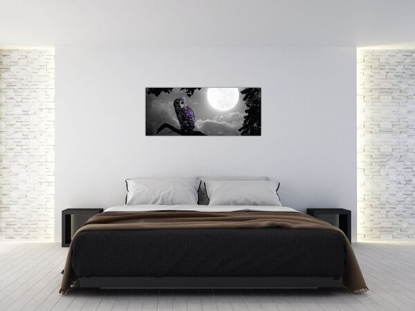 Obraz - Nočná sova, fialová sova (120x50 cm)