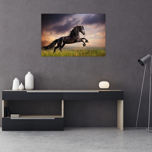 Obraz - Kone (90x60 cm)