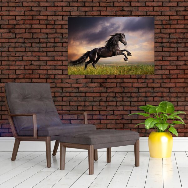 Obraz - Kone (90x60 cm)