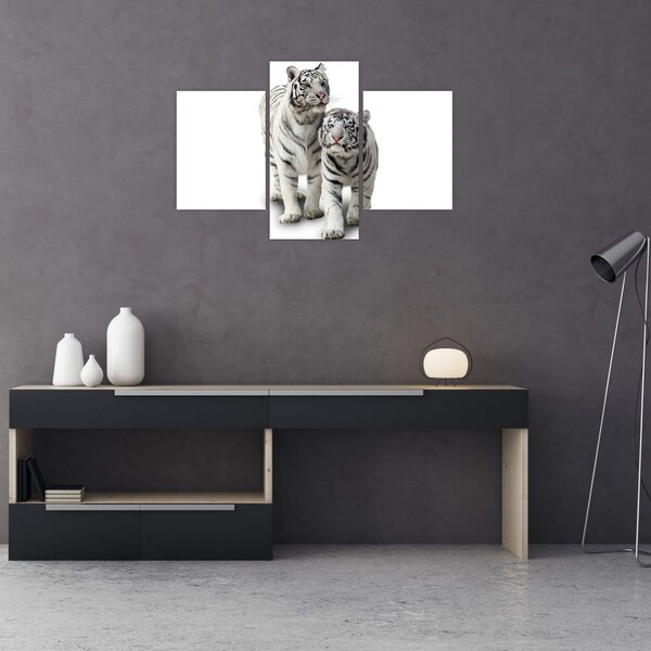 Obraz - Biely tiger (90x60 cm)