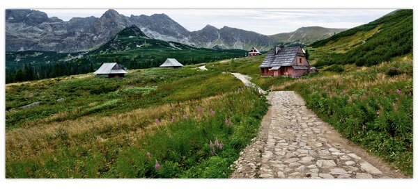 Obraz - Horská krajina s domčekmi (120x50 cm)