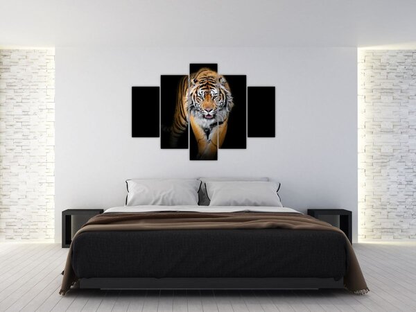 Obraz - Tiger (150x105 cm)