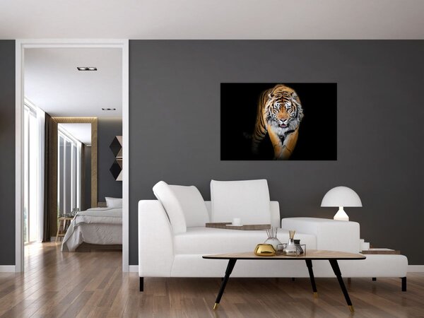 Obraz - Tiger (90x60 cm)