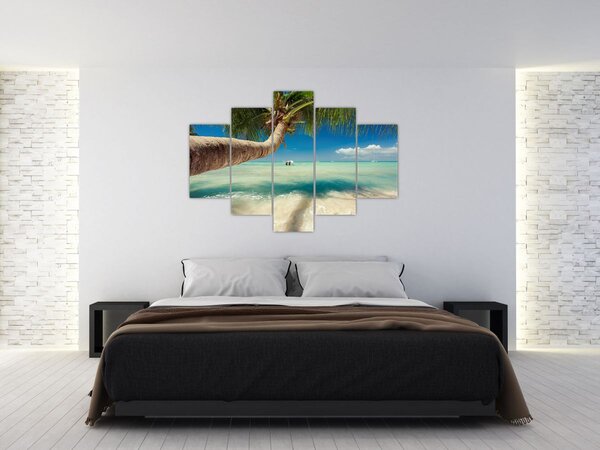 Obraz - Čisté more s palmou (150x105 cm)
