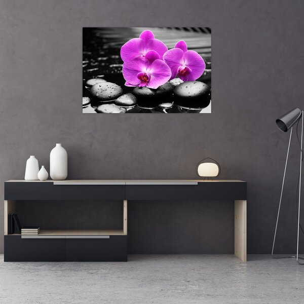 Obraz - Fialové orchidey (90x60 cm)