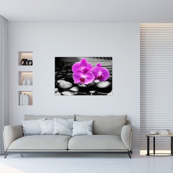 Obraz - Fialové orchidey (90x60 cm)