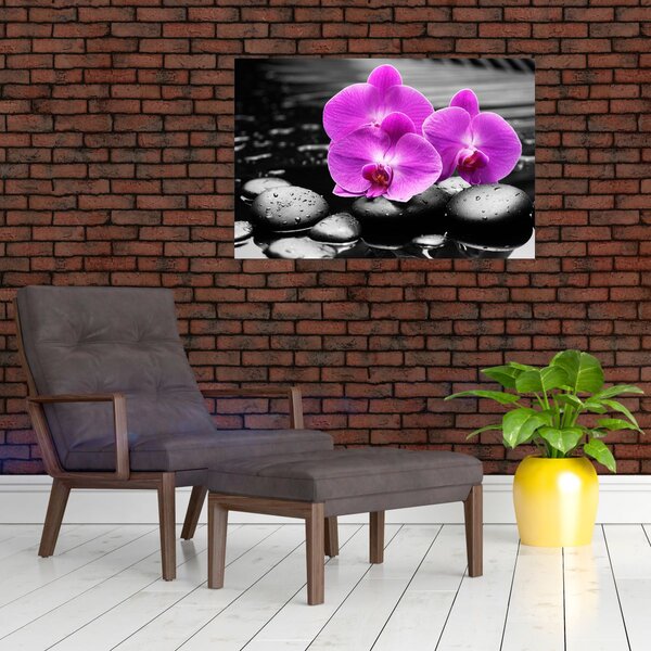 Obraz - Fialové orchidey (90x60 cm)