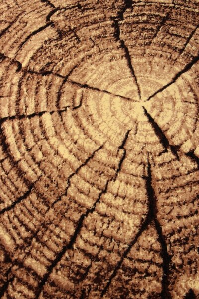 Koberec Gold 267/12 rozmery koberec: 50x70 cm