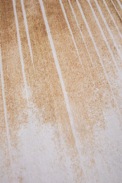 Koberec Canes KLXD220428 rozmery koberec: 50x80 cm