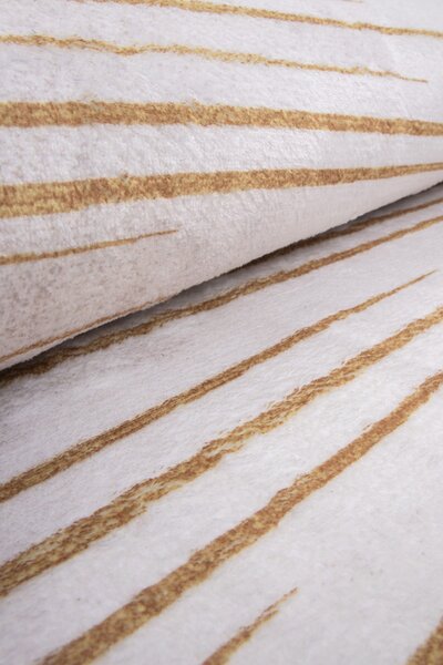 Koberec Canes KLXD220428 rozmery koberec: 50x80 cm