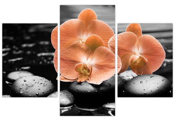 Obraz - Oranžové orchidey (90x60 cm)