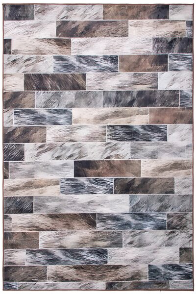 Koberec Canes KLXD220302 rozmery koberec: 50x80 cm