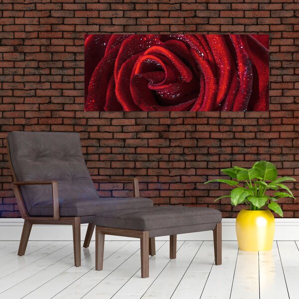Obraz - Červená ruža s kvapkami rosy (120x50 cm)