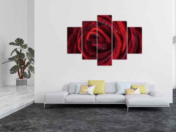Obraz - Červená ruža s kvapkami rosy (150x105 cm)