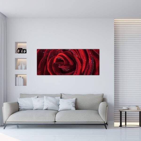 Obraz - Červená ruža s kvapkami rosy (120x50 cm)