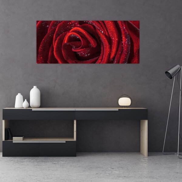 Obraz - Červená ruža s kvapkami rosy (120x50 cm)