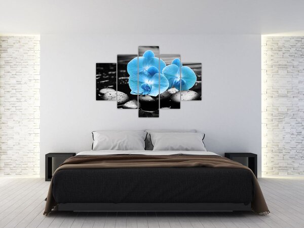 Obraz - Modrá orchidea (150x105 cm)