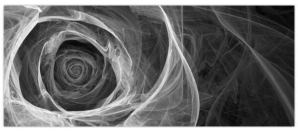 Obraz - Abstraktné ruže čiernobiela (120x50 cm)