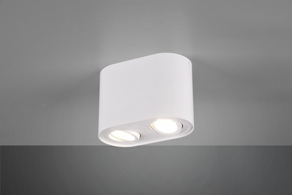 Trio 612900231 stropné bodové svietidlo Cookie 2x35W | GU10