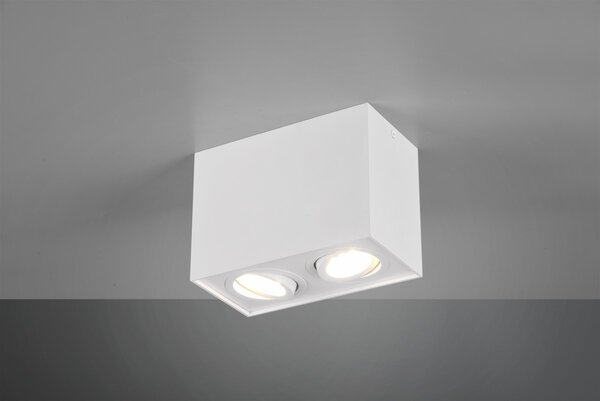 Trio 613000231 stropné bodové svietidlo Biscuit 2x35W | GU10