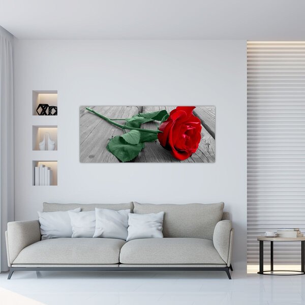 Obraz - Červená ruža so zelenou stonkou (120x50 cm)