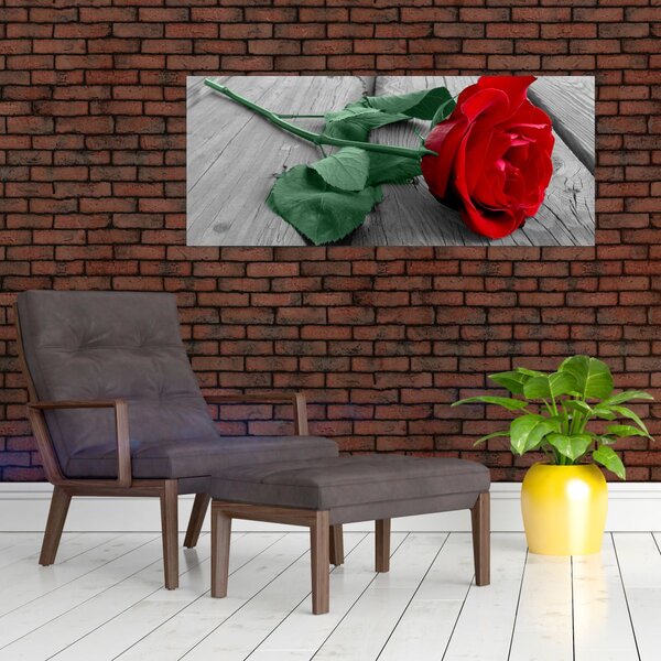 Obraz - Červená ruža so zelenou stonkou (120x50 cm)