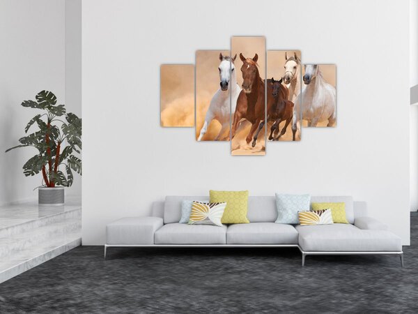 Obraz - Stádo koní (150x105 cm)