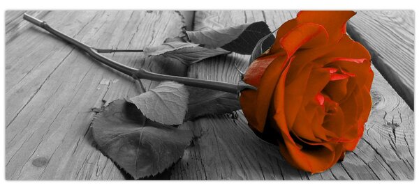 Obraz - Oranžová ruža (120x50 cm)