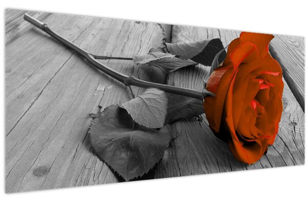Obraz - Oranžová ruža (120x50 cm)