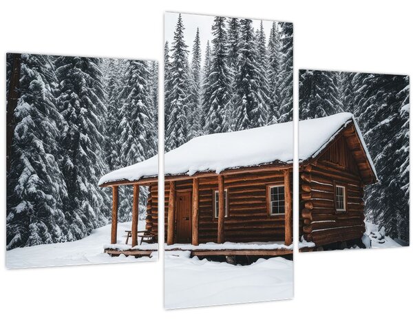 Obraz - Zasnežená chata (90x60 cm)