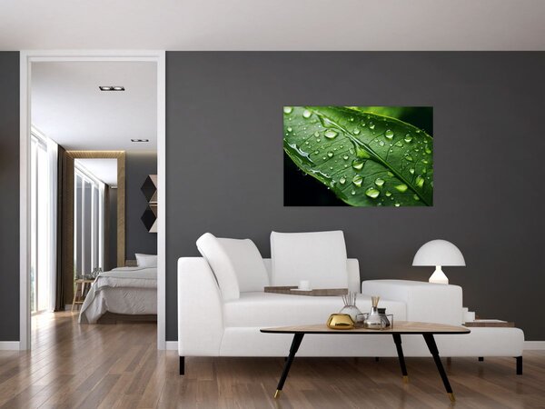Obraz - List po daždi (90x60 cm)