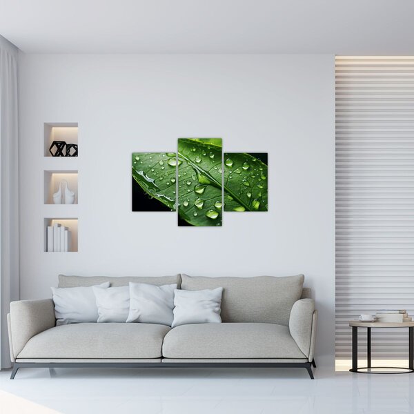 Obraz - List po daždi (90x60 cm)