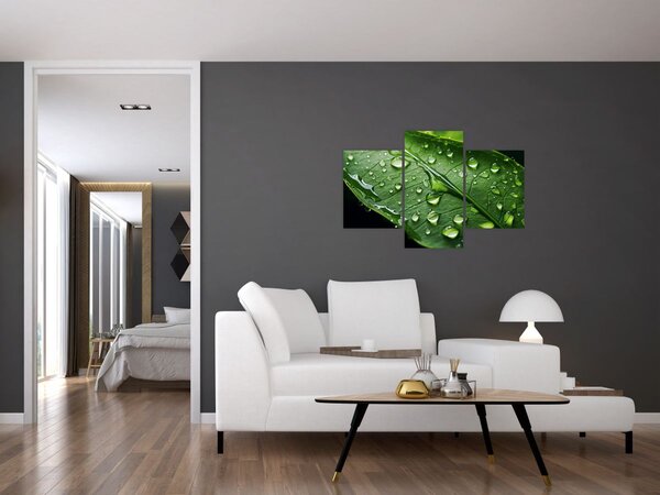 Obraz - List po daždi (90x60 cm)