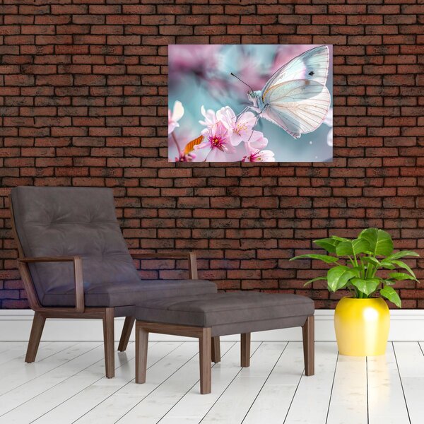 Obraz - Motýľ na čerešni (70x50 cm)