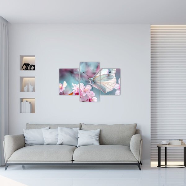 Obraz - Motýľ na čerešni (90x60 cm)
