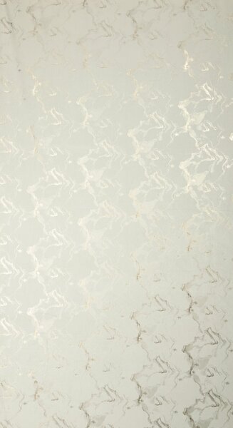 ZATEMŇOVACÍ ZÁVES NA KRÚŽKOCH RAJA 140X250 CM VZOROVANÁ BS