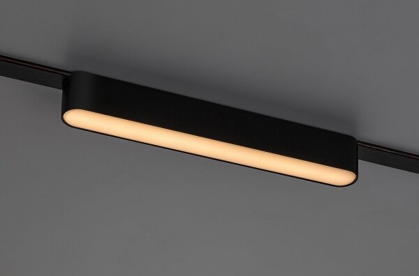 Rabalux 70123-LED Stm. str. svieti. do 1-fáz. lišt. sys. LiTrack 12W/24V 22 cm